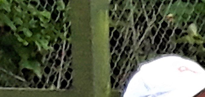 Den ene Bjarne har fortalt en vittighed, den anden Bjarne, Thorsen er ved at dø af grin